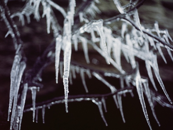 Ice on the Sheltowee Trace